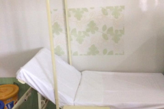2017-ivig-04
